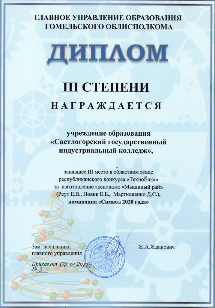 ТЁ Символ2020 3степень Реут Новик Мартюшенко